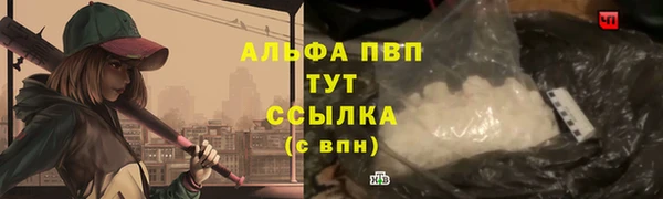 spice Бородино