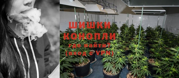 spice Бородино
