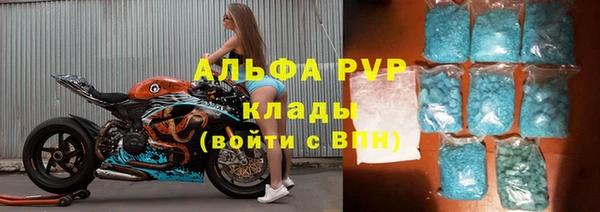 spice Бородино