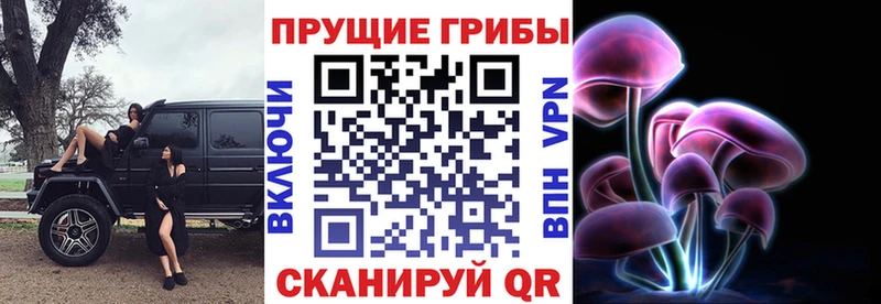магазин продажи   Дальнегорск  KRAKEN рабочий сайт  Псилоцибиновые грибы Magic Shrooms 
